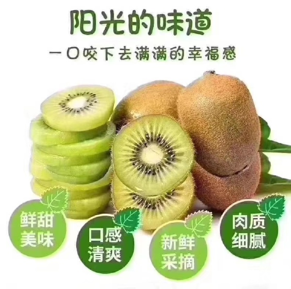 眉縣獼猴桃 來自陜西的徐香密碼