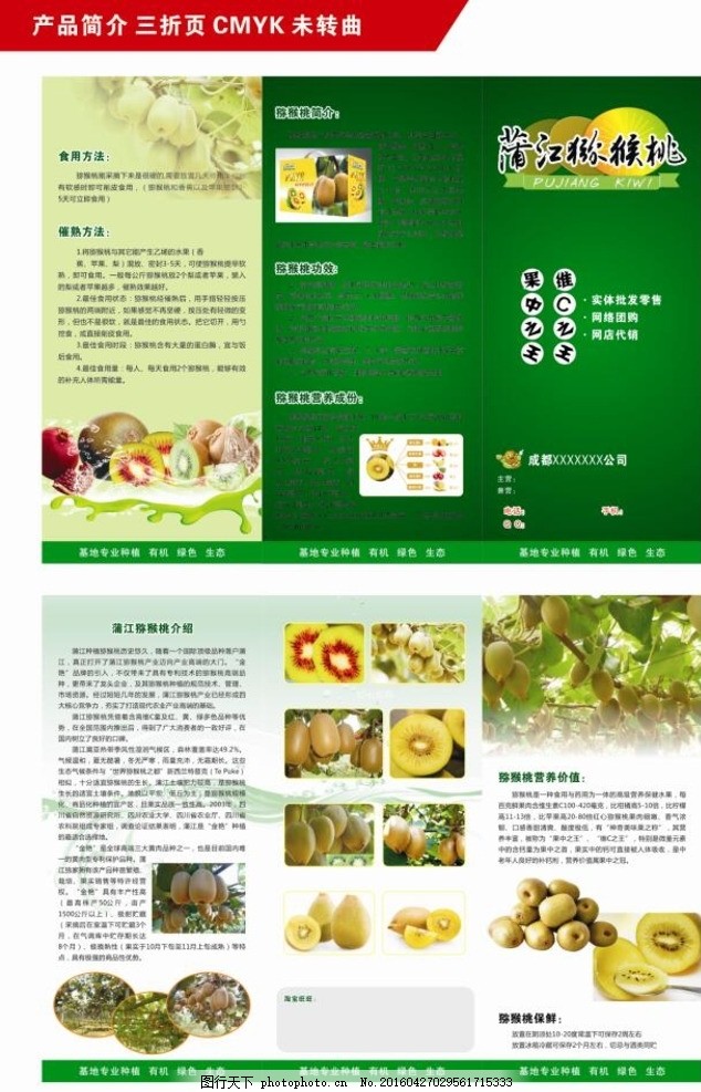 綠色奇跡 獼猴桃的健康密碼